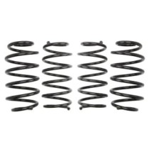 Coborarea arcului EIBACH