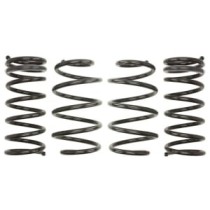 Coborarea arcului EIBACH