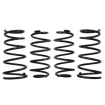 Coborarea arcului EIBACH