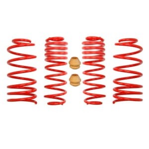 Coborarea arcului EIBACH