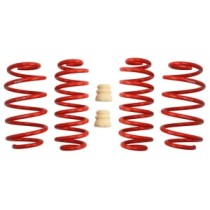 Coborarea arcului EIBACH