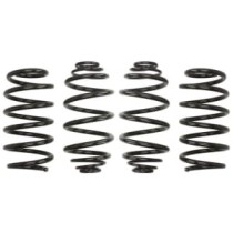 Coborarea arcului EIBACH