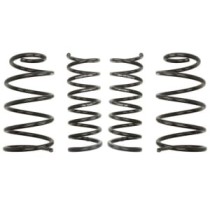 Coborarea arcului EIBACH