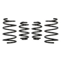 Coborarea arcului EIBACH