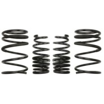 Coborarea arcului EIBACH