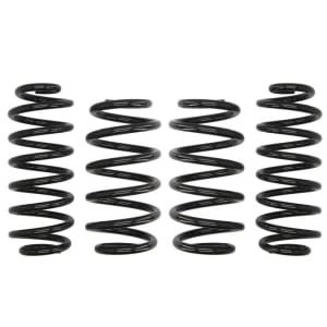 Coborarea arcului EIBACH