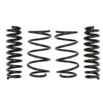 Coborarea arcului EIBACH