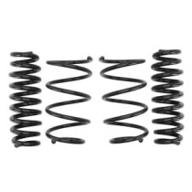 Coborarea arcului EIBACH