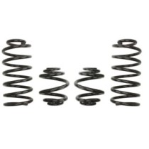 Coborarea arcului EIBACH