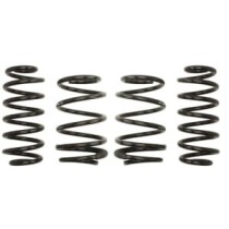 Coborarea arcului EIBACH