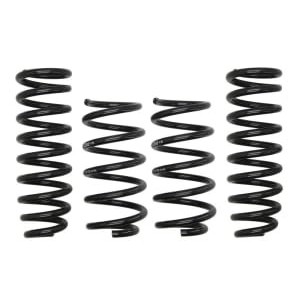 Coborarea arcului EIBACH