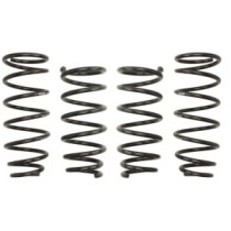 Coborarea arcului EIBACH