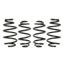 Coborarea arcului EIBACH