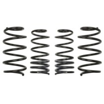 Coborarea arcului EIBACH