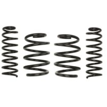 Coborarea arcului EIBACH