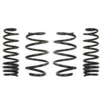 Coborarea arcului EIBACH