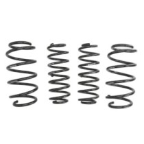 Coborarea arcului EIBACH