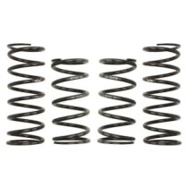 Coborarea arcului EIBACH