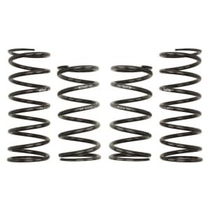 Coborarea arcului EIBACH