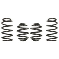 Coborarea arcului EIBACH