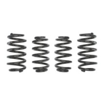 Coborarea arcului EIBACH