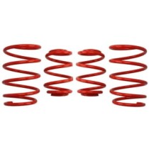 Coborarea arcului EIBACH