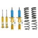 Set suspensie EIBACH pentru Motorsport, Sistem de suspensie, compatibilitate auto