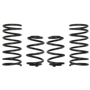 Coborarea arcului EIBACH