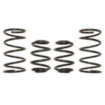 Coborarea arcului EIBACH