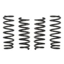 Coborarea arcului EIBACH