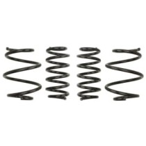 Coborarea arcului EIBACH