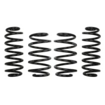 Coborarea arcului EIBACH