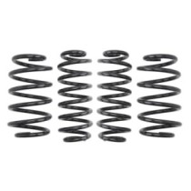 Coborarea arcului EIBACH