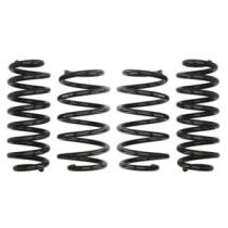 Coborarea arcului EIBACH