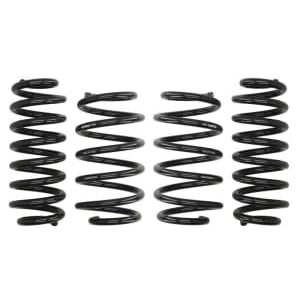 Coborarea arcului EIBACH