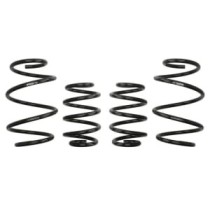 Coborarea arcului EIBACH