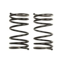 Coborarea arcului EIBACH