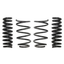 Coborarea arcului EIBACH