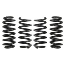 Coborarea arcului EIBACH