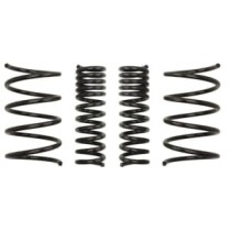 Coborarea arcului EIBACH