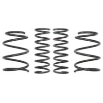 Coborarea arcului EIBACH