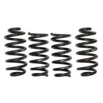 Coborarea arcului EIBACH