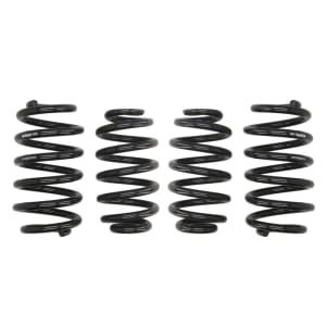 Coborarea arcului EIBACH