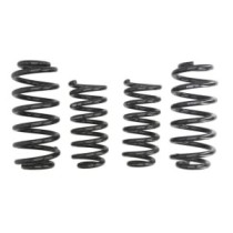 Coborarea arcului EIBACH