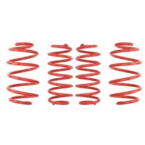 Coborarea arcului EIBACH