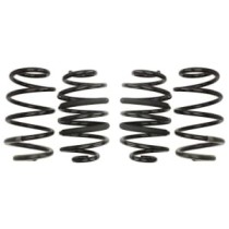 Coborarea arcului EIBACH