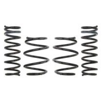 Coborarea arcului EIBACH