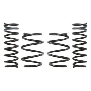 Coborarea arcului EIBACH