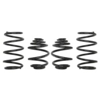 Coborarea arcului EIBACH