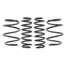 Coborarea arcului EIBACH